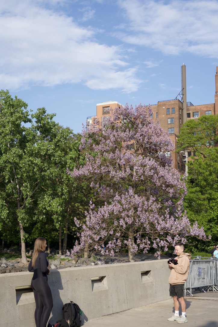 Influencer in the park